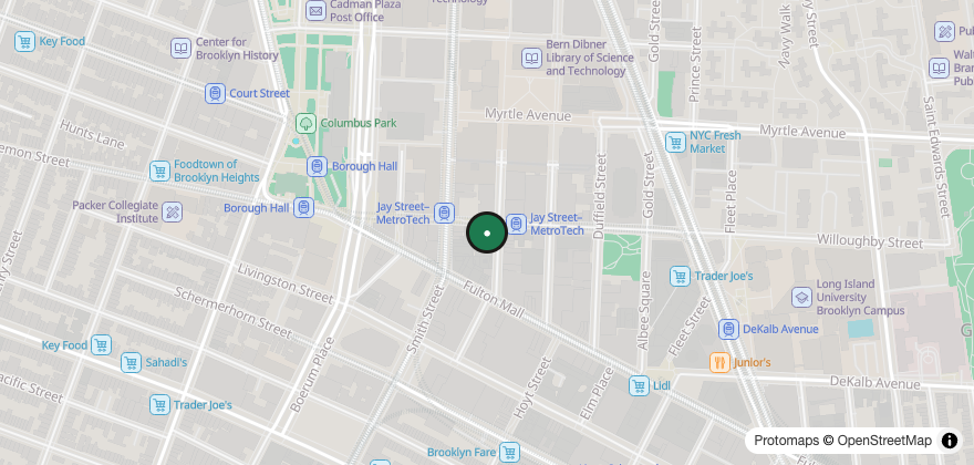 Static map showing the location of Pio Bagels – Downtown Brooklyn